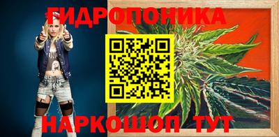apvp Нальчик