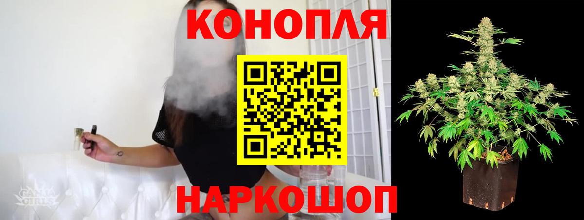 Бошки Шишки White Widow  Вход с VPN  Марихуана индика  Бошки Шишки ГИДРОПОН  Канабис индика  Черняховск 